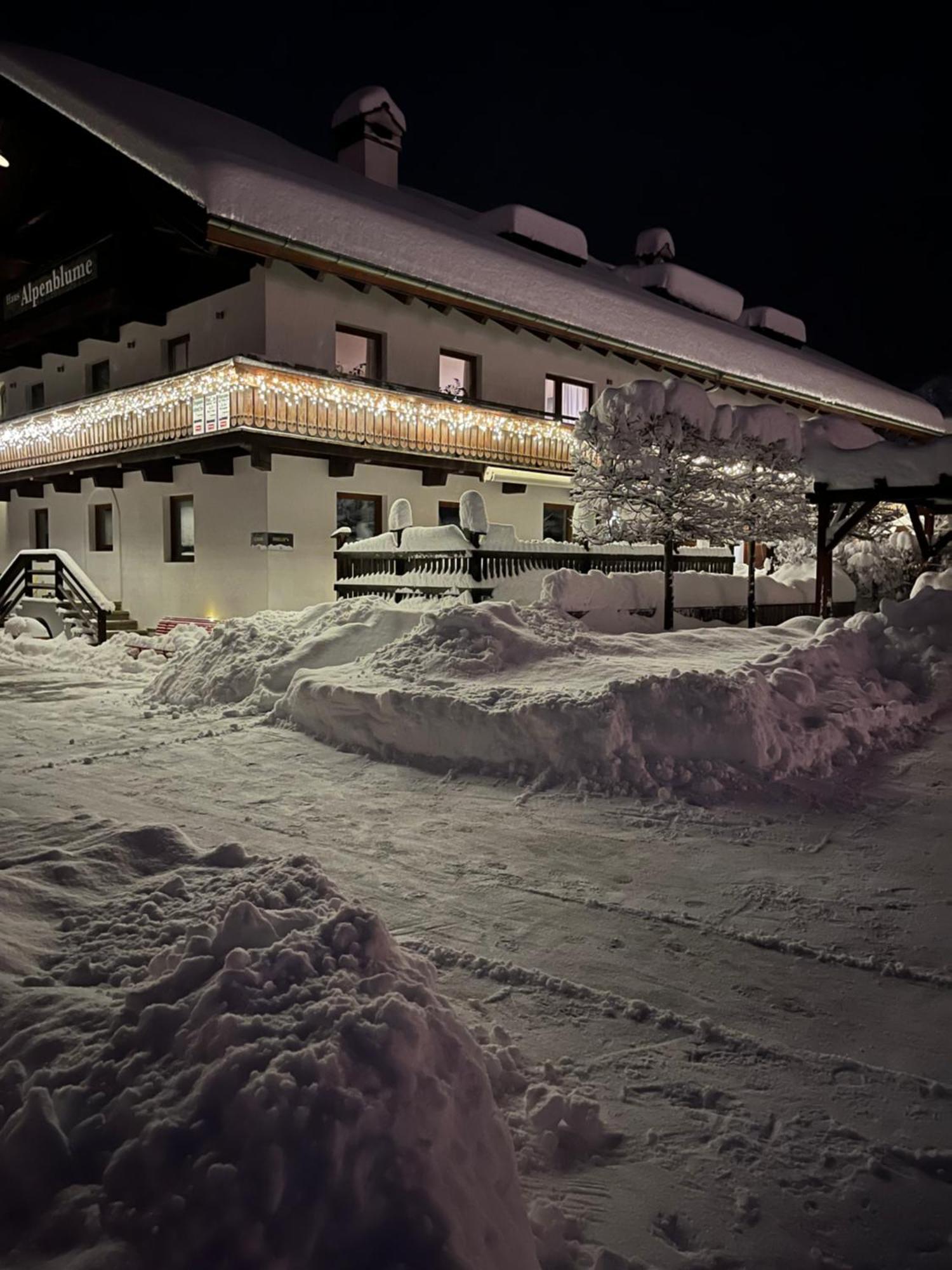 Apartamento Haus Alpenblume Ehrwald Exterior foto